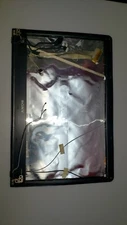 SONY PCG 71318L screen case cover with hinges and connectors