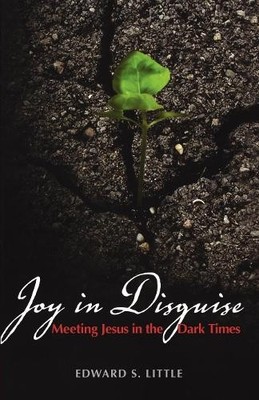 Edward S. Little Joy in Disguise (Taschenbuch)