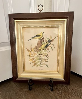 Vintage Goldfish On Fall Sumac by Rudolph Freund Print 13/15 Inch Framed Signed