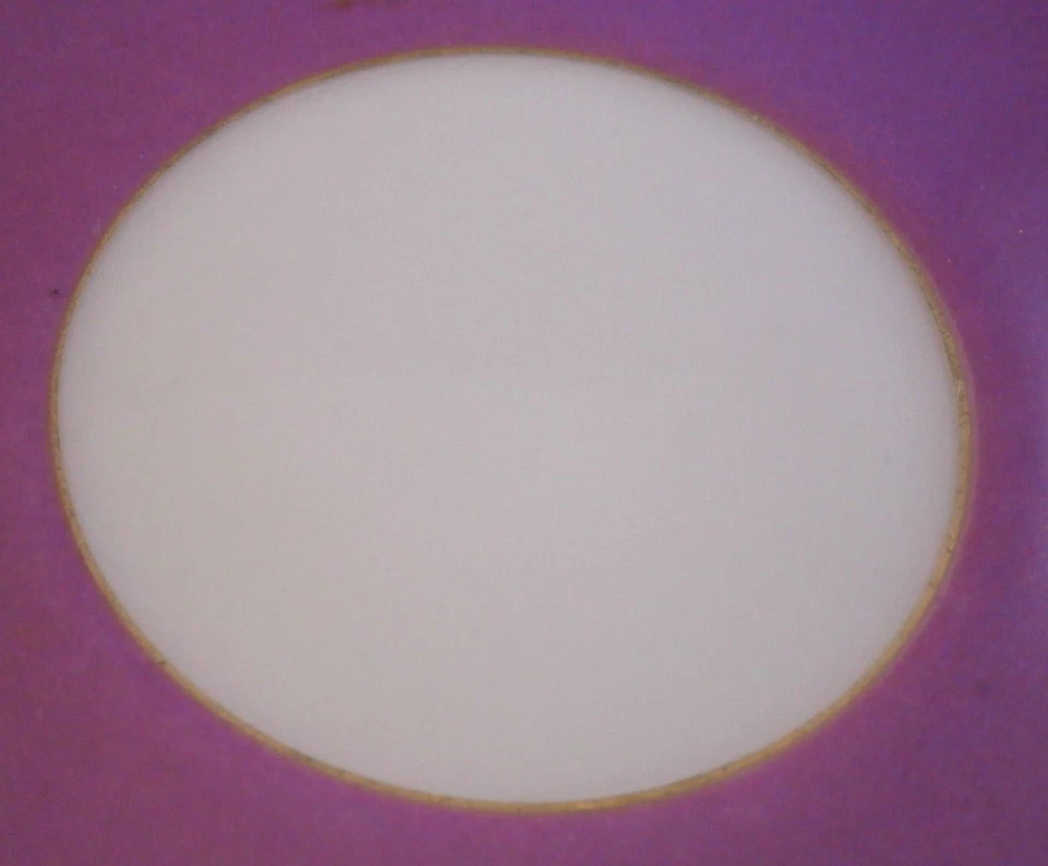 Antique KPM Berlin Porcelain Elisabeth Pink Cup & Saucer Porzellan Tasse 2nd - Image 4 of 4