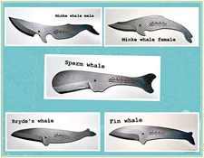 Whale Utility Chef 5 Knife set High Carbon Steel Made in Japan KUJIRA