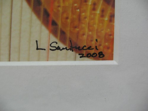 ART PHOTOGRAPHY Harp 11x14 Color Photo by Larry Santucci COA - Picture 3 of 3