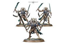 - Warhammer Age of Sigmar - Ossiarch Bonereapers Necropolis Stalkers