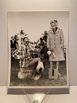 1968 Palm Beach County Florida Dog Fanciers Association Photo Terrier Mrs. Neal
