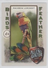 2021 Topps Allen & Ginter's Birds of a Feather Rainbow Lorikeet #BOF-10 1ol1