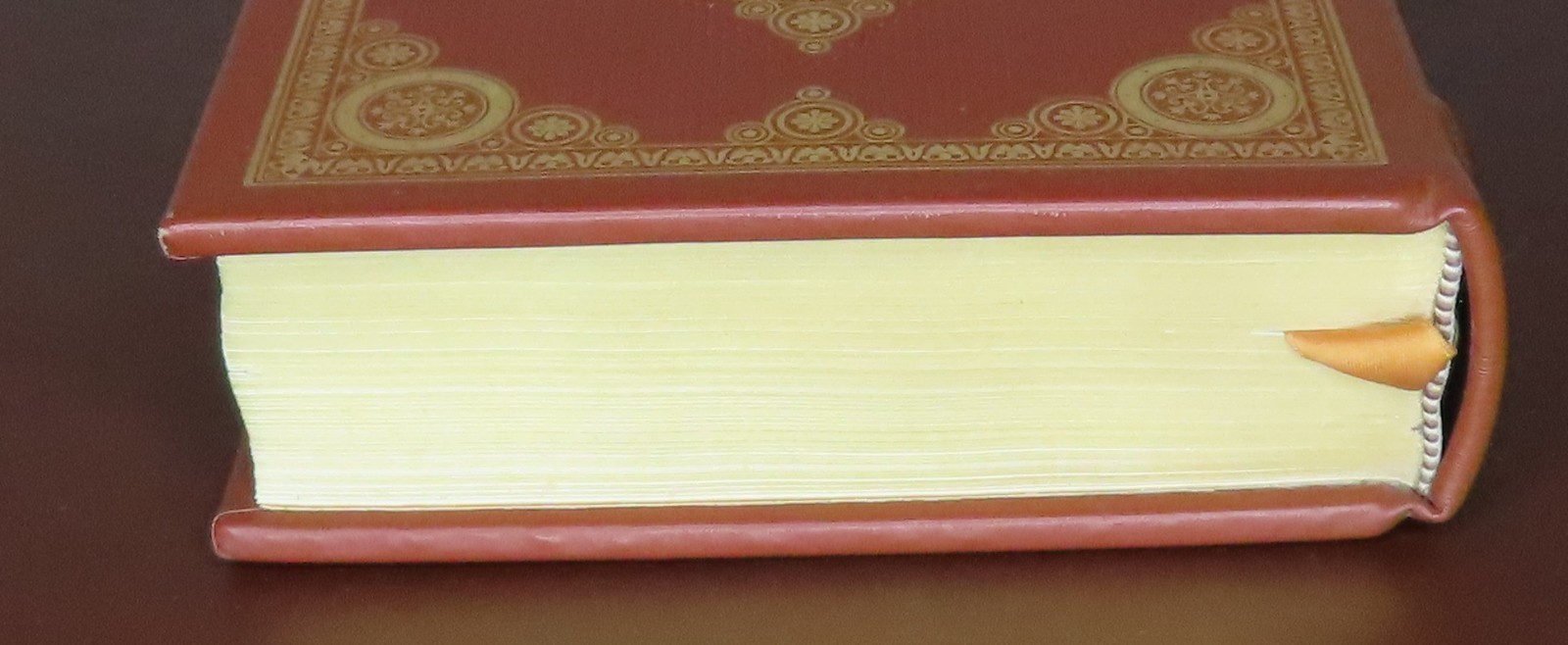 Picture 5 of 11
