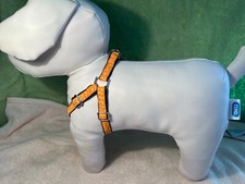 NEW! Gwen Gear Dog Harness - Townsend Orange - Extra Small - Made in the USA
