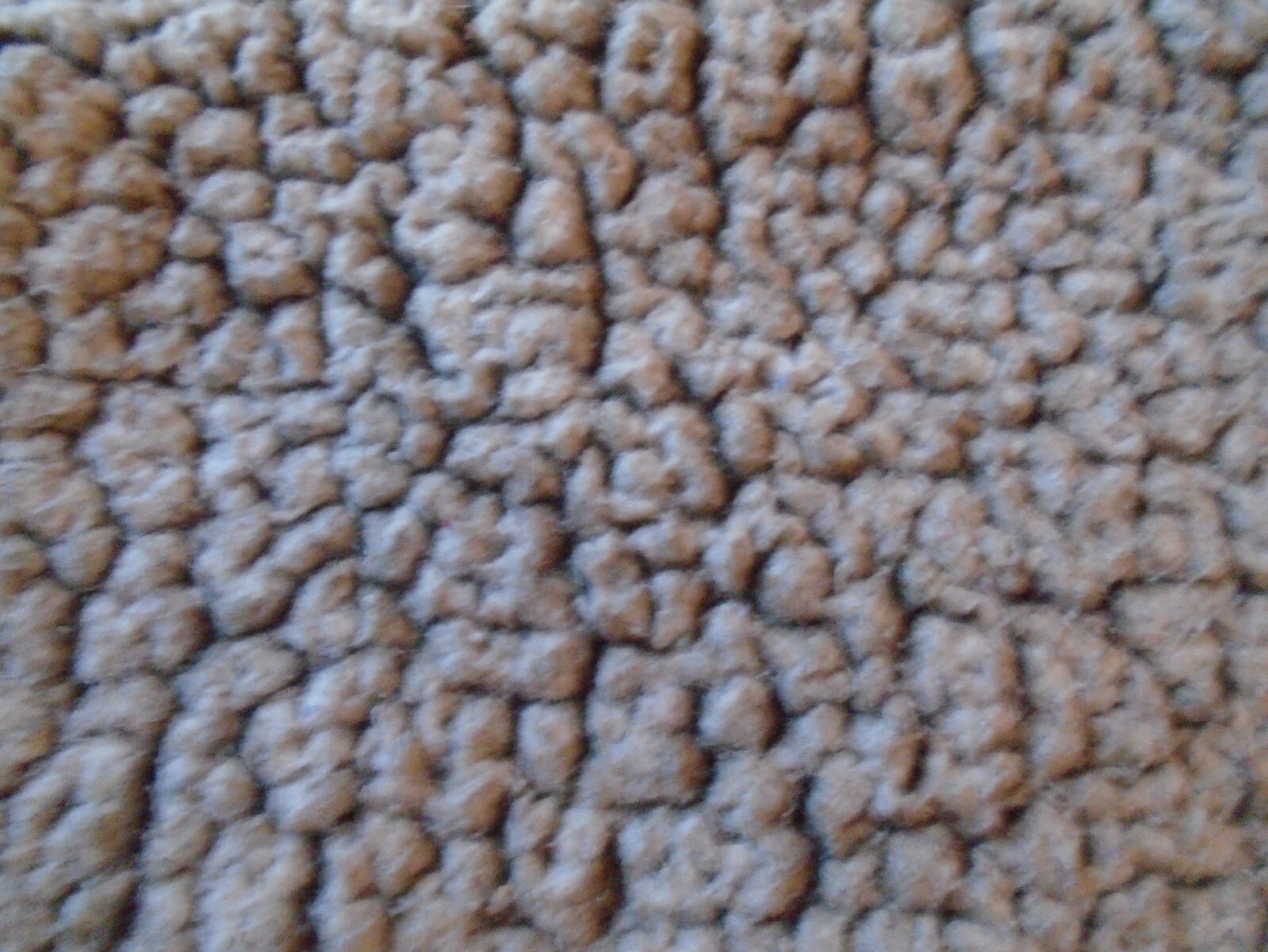Picture 2 of 5