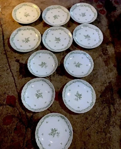 Old Tirschenreuth Salzburg Rose Garden 1838 Set Of 11 Antique Rare Plates