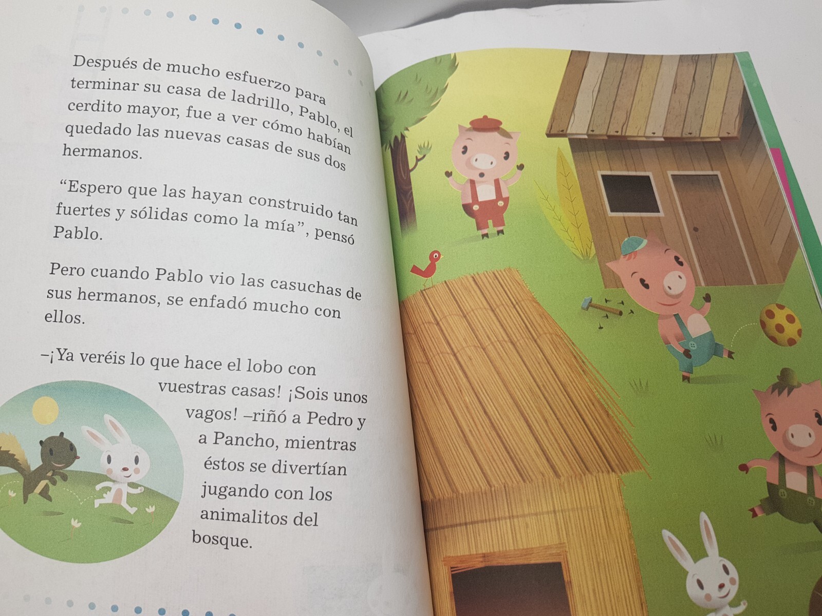 Foto 8 di 10
