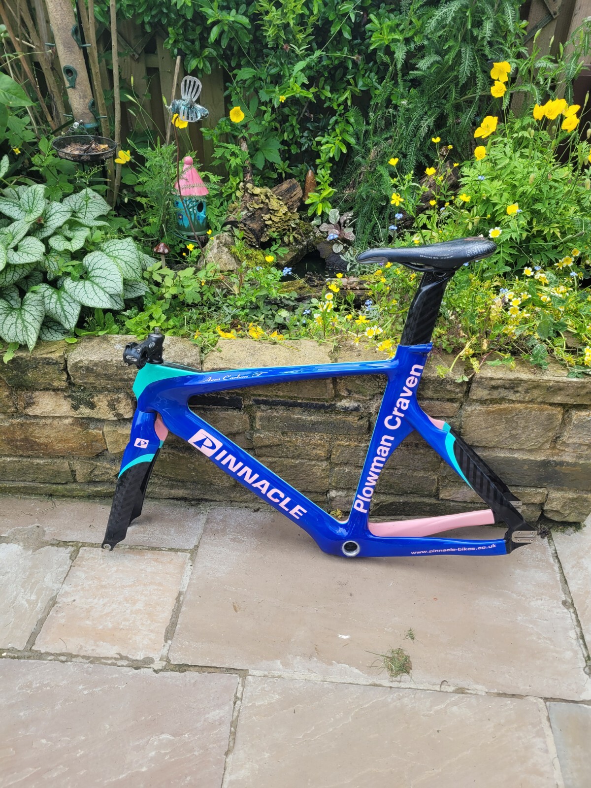 Carbon Bike Frame eBay