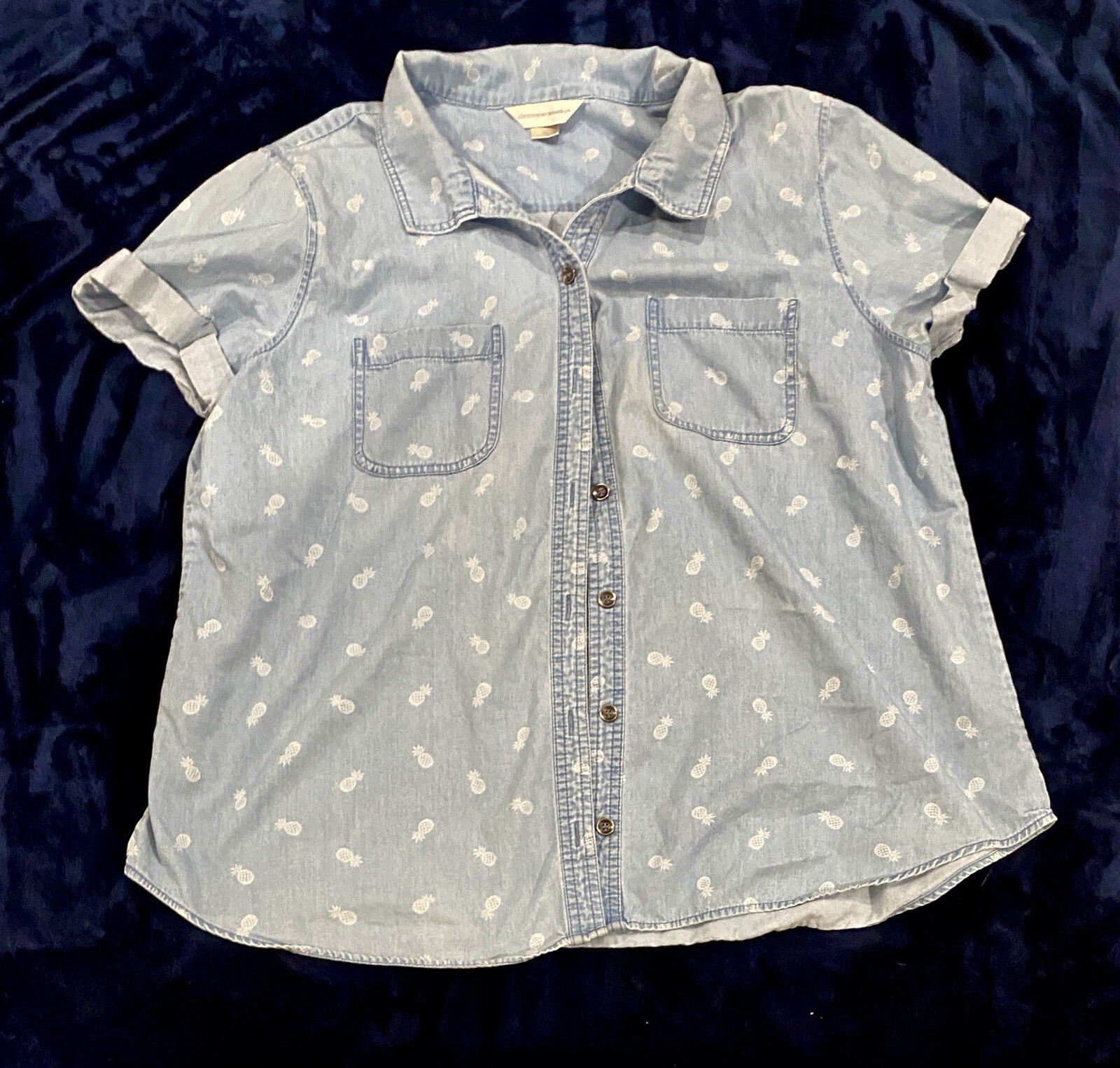 Pineapple Christopher & Banks Button Down Pineapp… - image 1