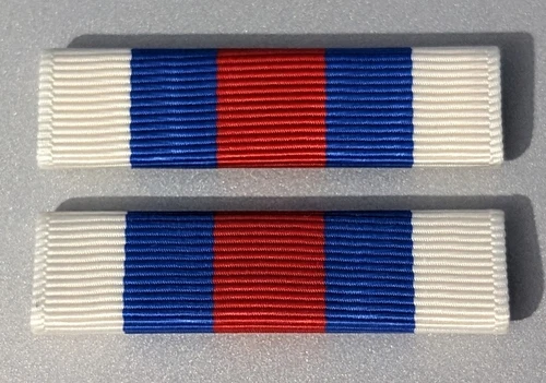 CORRECT SIZE-TXSG Physical Fitness PT Ribbon -Moiré Ribbon-Made in USA-Set of 2