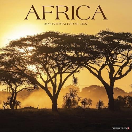 Africa 2027 Wall - Image 5