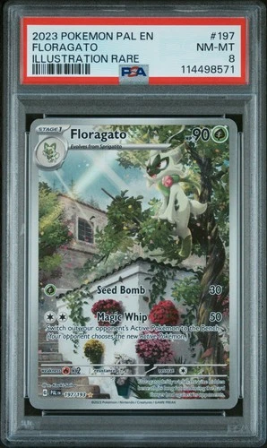 2023 POKEMON PAL EN-PALDEA EVOLVED ILLUSTRATION RARE #197 FLORAGATO PSA 8