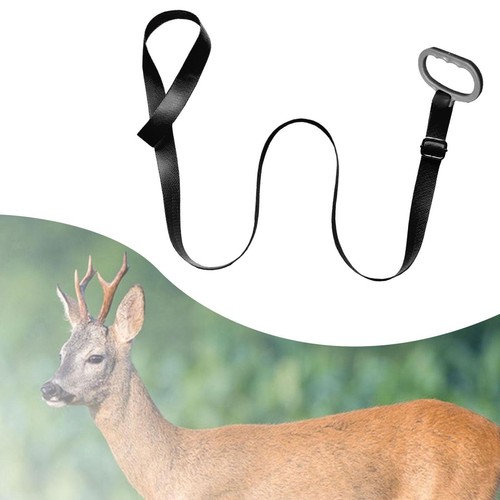 Les chasseurs sauvent un cerf et l’équipe d’un collier GPS - Le