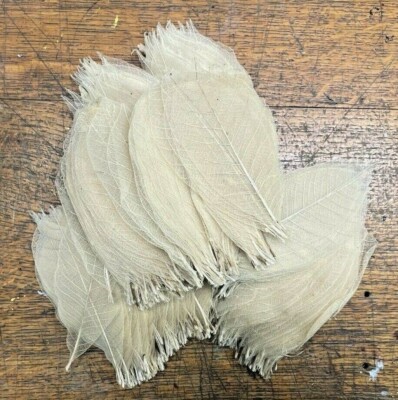 (KLASSE_B) ca. 300 x Natur Skelett Kautschuk Blätter 10-15 cm Verzierung DIY