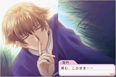 (未使用･未開封品)　ときめきメモリアル Girl&#39;s Side 1st Love Plus ar3p5n1 Tokimeki Memorial: Girl's Side: 1st Love Plus for Nintendo DS