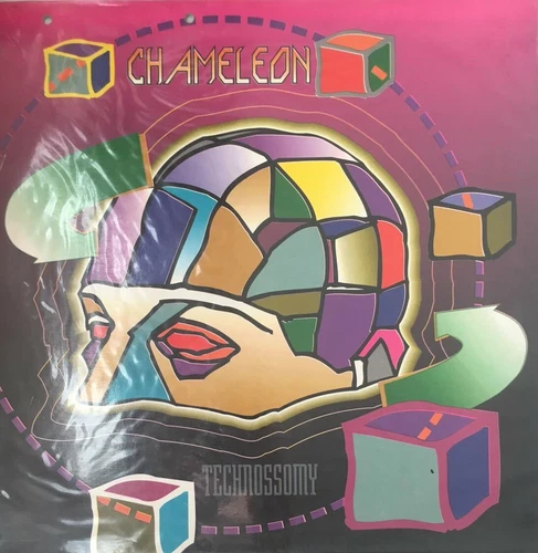 TECHNOSSOMY:CHAMELEON VINILE