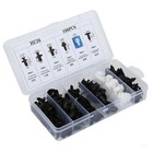 Car Assortments Push Pin Parts Bumper Rivet Clip Body Molding Retainer Trim