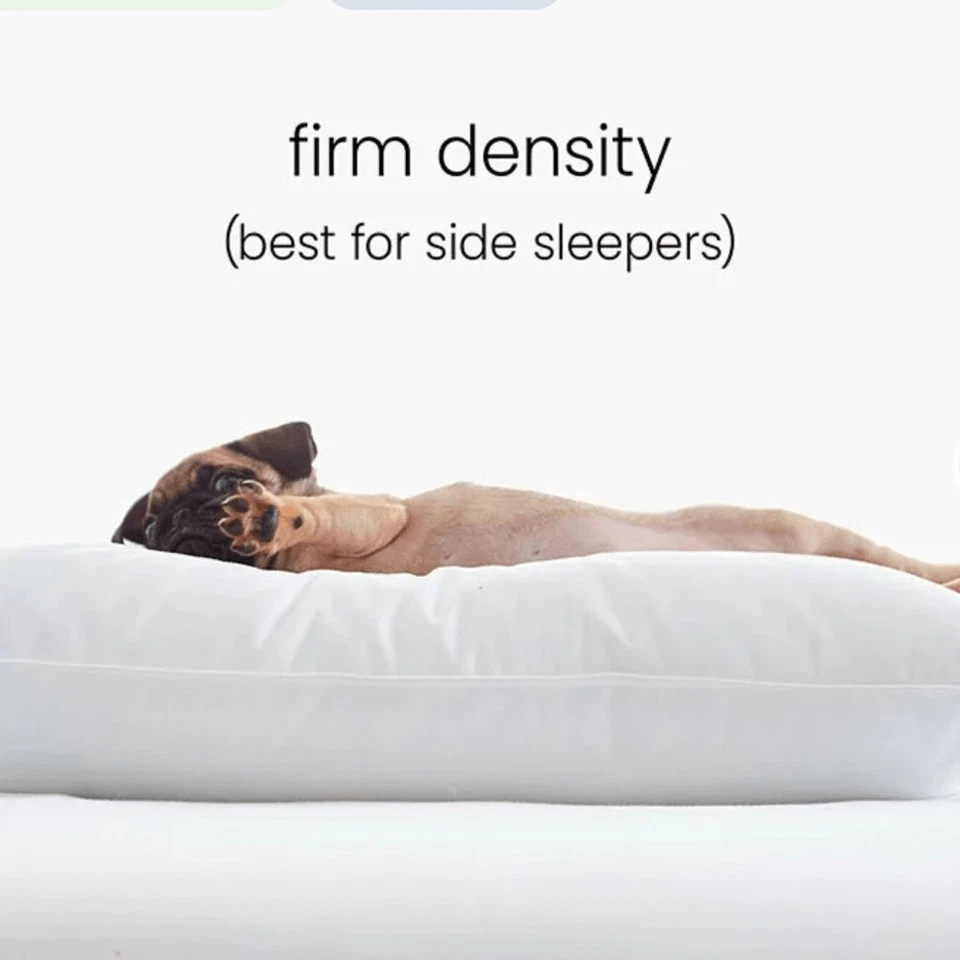 The Company Store Royal Down Pillow - Firm Density, Standard Size. NWT! - Imagem 3 de 4