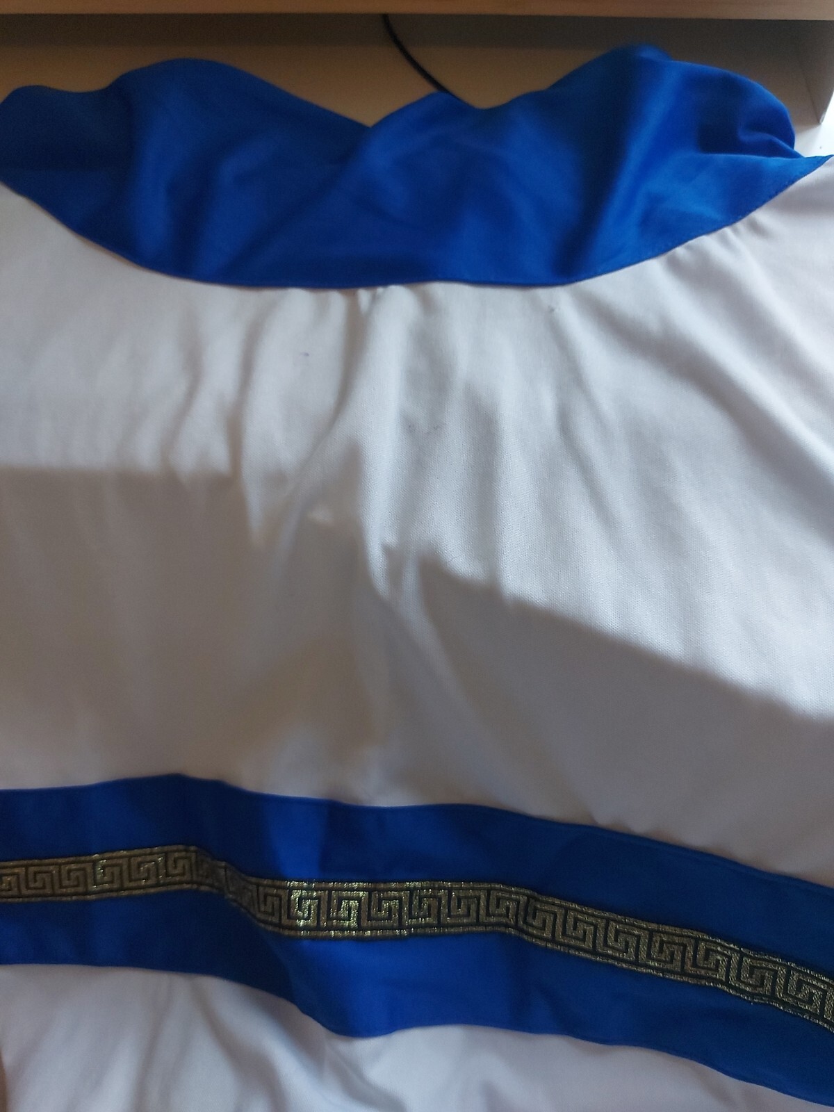 Ceasar Boy Roman Costume Fancy Dress Size 1012 Years eBay