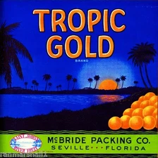 Seville Florida Tropic Gold Orange Citrus Fruit Crate Label Art Print