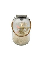 Trendline Deko Glas Led Mit Trockenblumen 16 X 26 Cm Deko-Accessoires