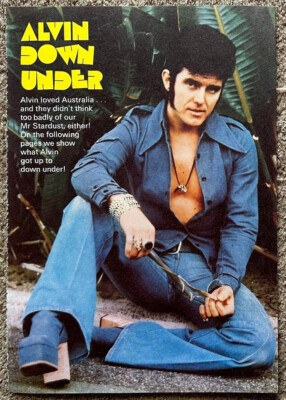 ALVIN STARDUST ~ 1976 full page UK magazine annual poster