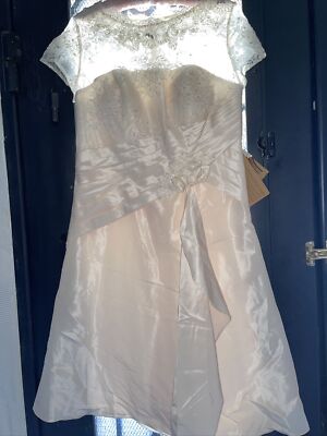 Light in the Box, Champagne Size 10-12 Below Knee Elegant Sheer Front Dress NWT | eBay Light in the Box, Champagne Size 10-12 Below Knee Elegant Sheer Front Dress NWT | eBay