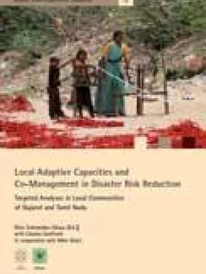Schneider-Sliwa Local Adaptive Capacities Sachbuch Hardcover Katastrophenrisiken