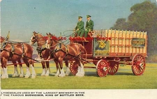 Advertising Postcard, Anheuser-Busch Brewery, Budweiser, Clydesdales Horses