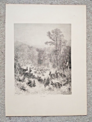 The Rabbits, Gustave Dore - Antique Print - 1868