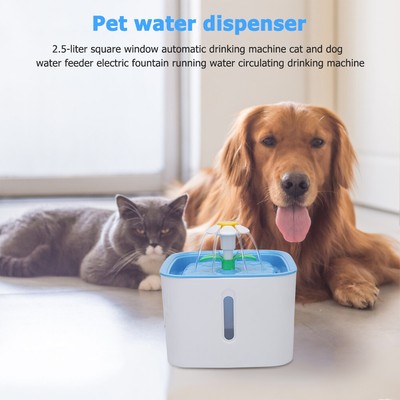 cat dog water fountain