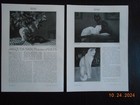 1923 Jacques Nam Painter of Cats illustrator article photo Les Lilas Laque Noire