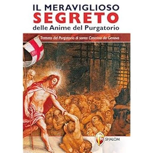 Chimica: Concetti E Modelli. Dalla Materia All'atomo (Reacondicionado Chimica: Concetti E Modelli. Dalla Materia All'atomo (Reacondicionado