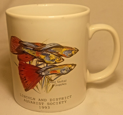 Vintage Becher Lincoln District Aquarist Society 1993 Tropical Guppys Fish