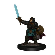 WizKids Games Dungeons  Dragons Premium Dwarf Paladin Female Miniature Figure