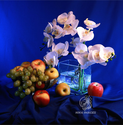 New ''White Orchid'' 24'' x 24'' Framed Photo Art Living Room