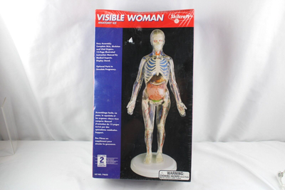Skilcraft Visible Woman Anatomy Kit #74623 Easy Assemble Kit