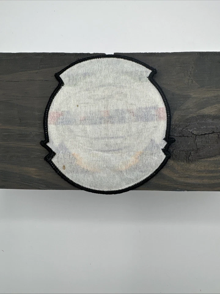 Resident Evil 5 Patch -- Collector's Edition | BSAA Patch RARE 💥 - Image 2 of 4