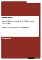 Morphologische Analyse & Effizienz Und EffektivitäT Mathias Hirsch