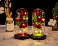 Valentines Day Gifts for Her,Beauty and The Beast Rose in Glass Dome  Red  Rose