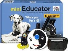 Black  White Zen Educator E-Collar - Rechargeable Remote  Training Clicker
