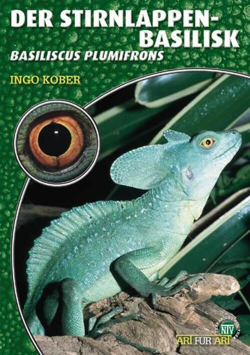 Thumbnail - Der Stirnlappenbasilisk | Basiliscus Plumifrons | Ingo Kober |