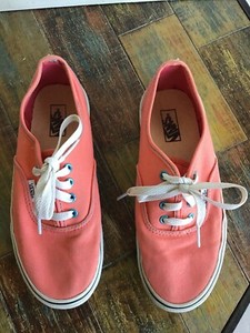 salmon vans