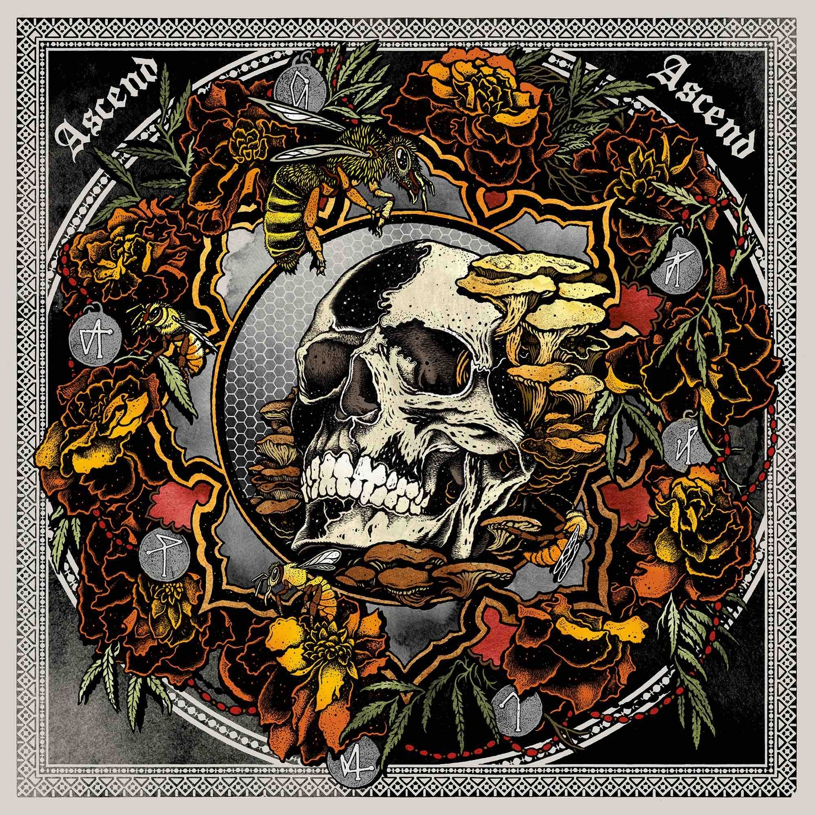 Janaka Stucky/Lori Gold Ascend Ascend: Live in Seattle With Lori Gold (Vinyl LP)