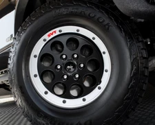 2013-2014 Raptor SVT Wheel Badges/Decal Inserts [13FR_WBSVT] 