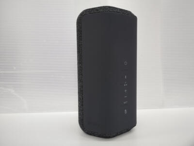 Sony SRS-XE300 X-Serie Tragbar Drahtlose Lautsprecher Grau Guter Zustand Einheit