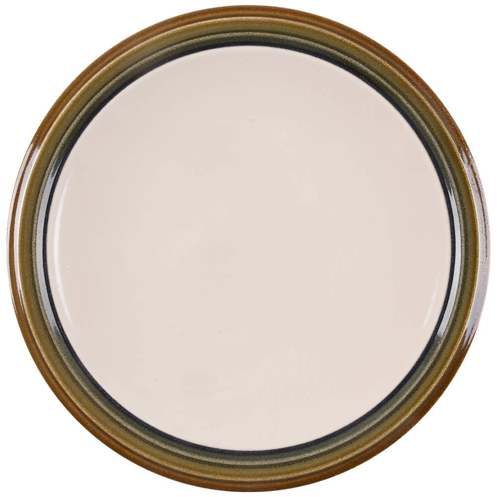 Pfaltzgraff Canyon Ridge 10.5 Inch Dinner Plate 973469